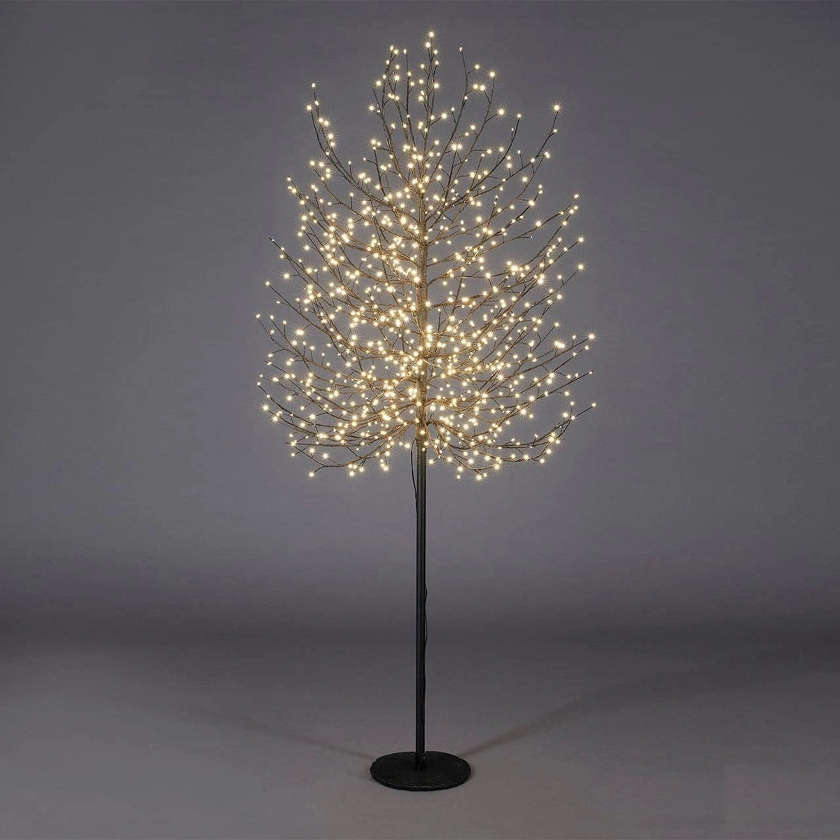 EDG Enzo De Gasperi verlichte kerstboom met 1300 leds, zwart, 210 cm, metaal