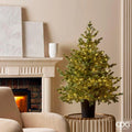EDG Enzo de Gasperi Kerstboom van zilver grenen met vaas en 480 LED-lampjes H120xD99 cm